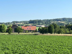 Vakantiewoning - Ter Douve